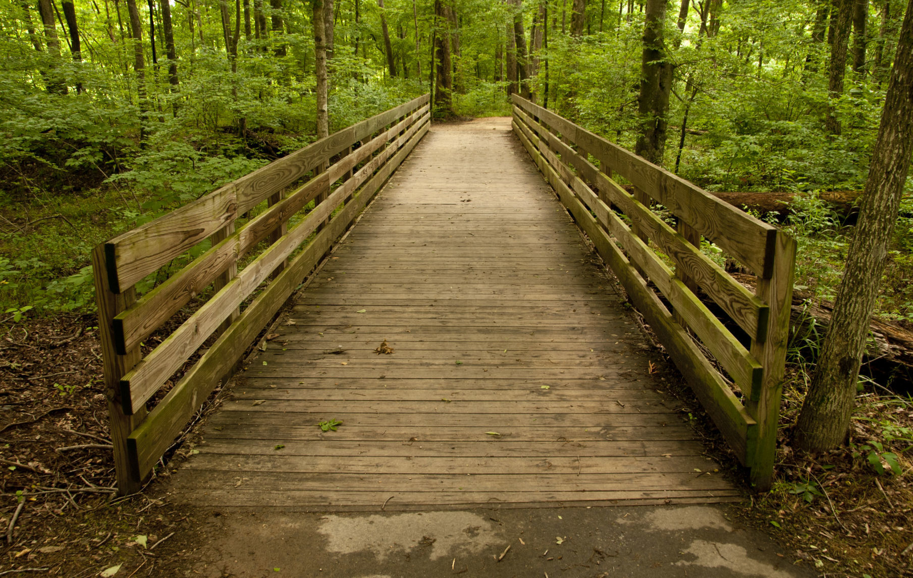 Hillsborough Mountains-to-Sea Trail